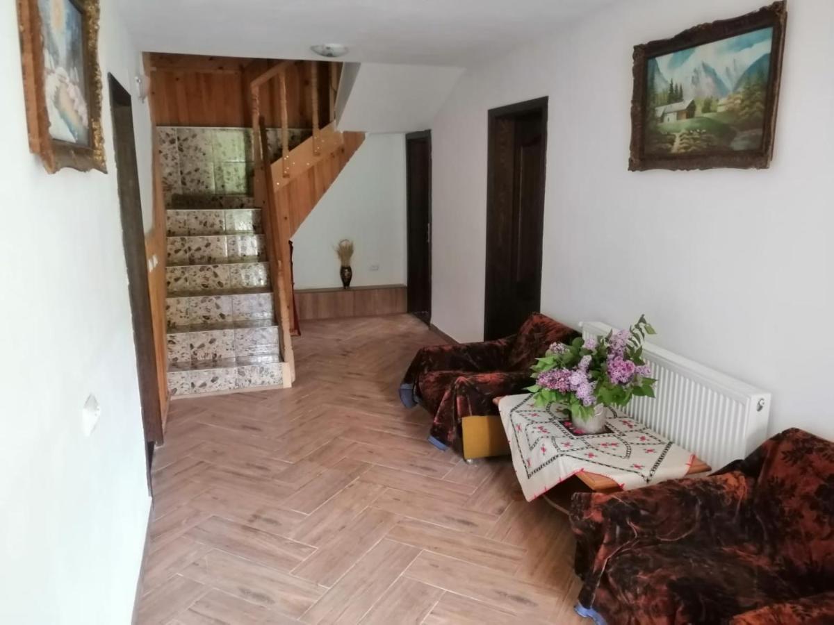 Вилла Casa Dorina Бран Экстерьер фото