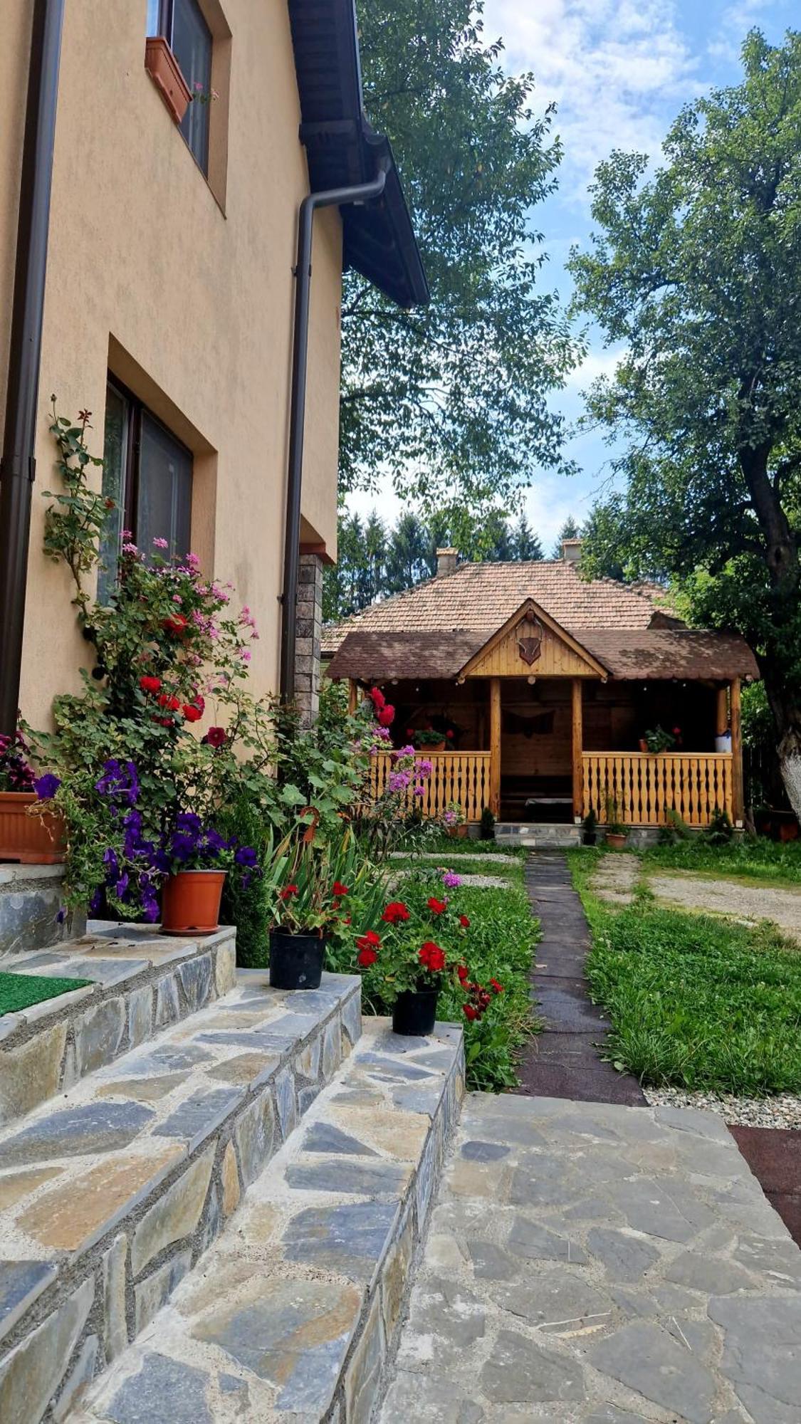Вилла Casa Dorina Бран Экстерьер фото